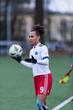 Bild 49 - wBJ HSV - F VfL Jesteburg : Ergebnis: 6:1